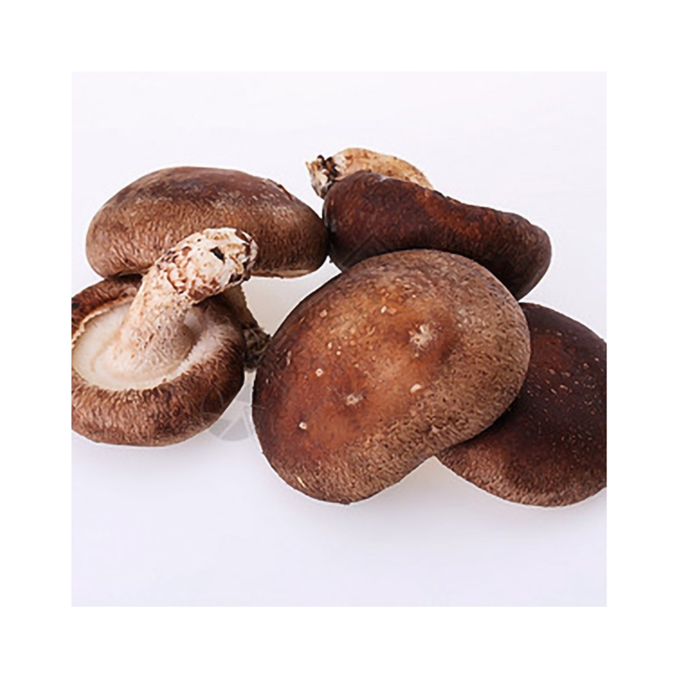 Exquisite Craftsmanship Whole Shape Rootless Fleshy Magic Mushrooms Dried Shiitake Mushroom