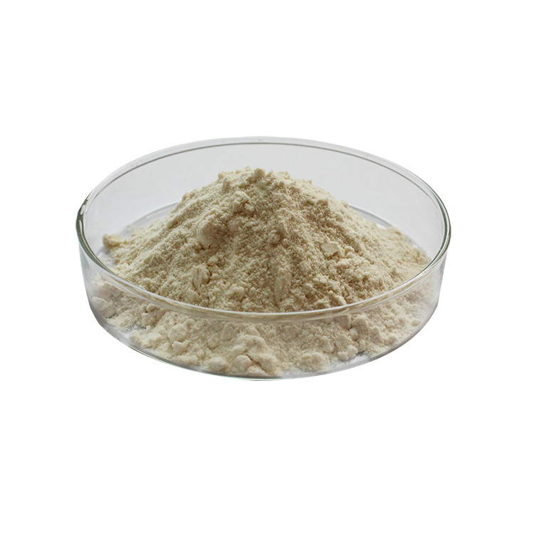 Garlic Extract Allicin Alliin/Natural Garlic Extracts Powder/Garlic Extract Allicin