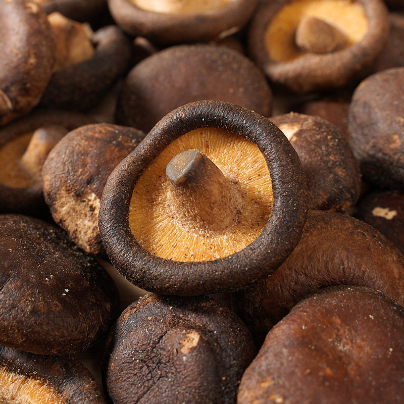 OEM-Black Truffle Mushroom Crispy Instant Free Cooking Leisure Office Net Red Explosions Snacks Greedy Snacks Nut Kernel Snacks