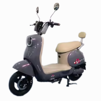 Factory Directly Wholesale Electric Scooters Adult Mobile Scooter With Warehouse Stock