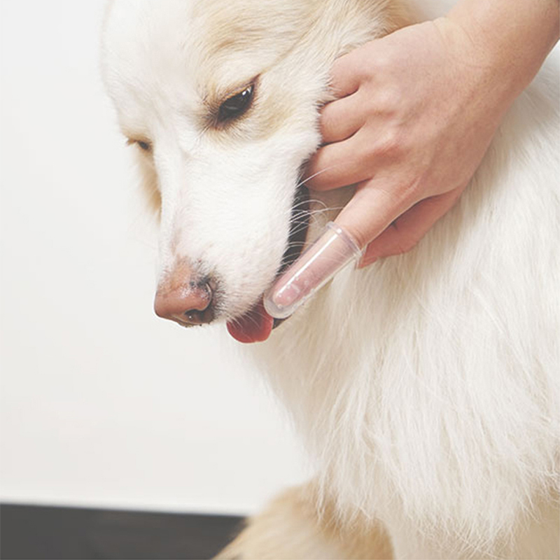 Silicone Dog Toothbrush Easy Teeth Cleaning for Dog Dental Care Perfect for Dogs and Cats