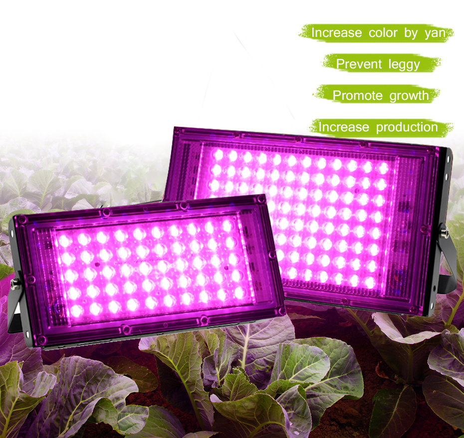 50W 100W LED Grow Light Водонепроницаемый Phytolamp Фито для роста растений Бесплатная доставка полный спектр освещения растений для комнатных растений