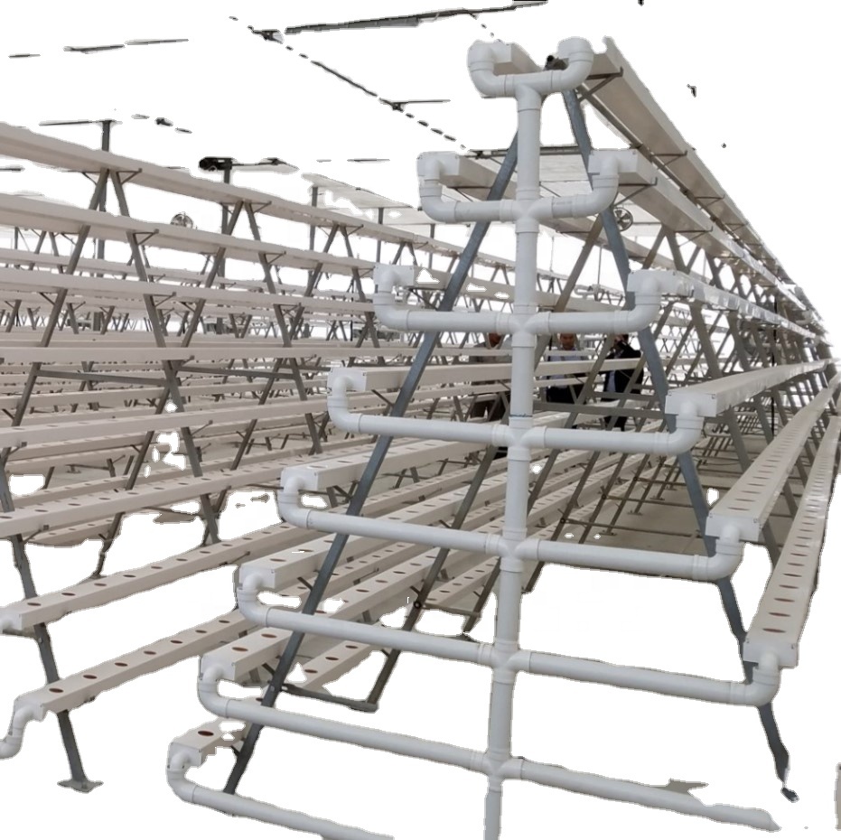 Сельскохозяйственным гидропоники салат cultivation greenhouse