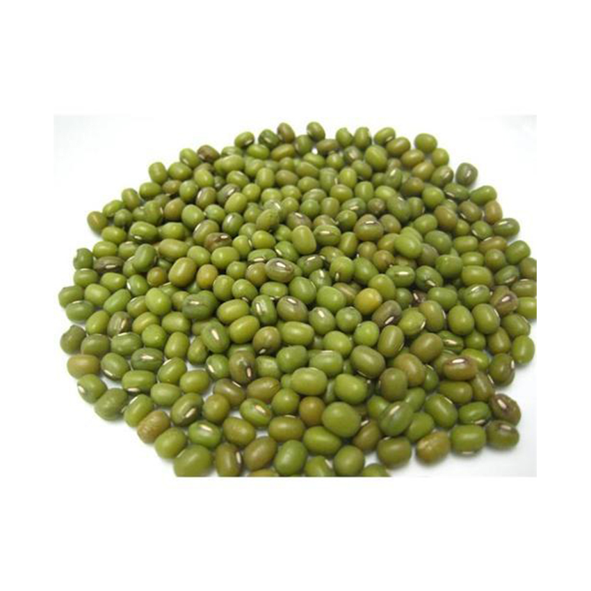 Factory Wholesale Dried Organic quality beans Good quality natural vigna green mung beans