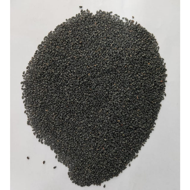 Top Quality Grade agriculture food health Factory Supply Oil Purpose Sesame Seeds From Indian Manufacturer