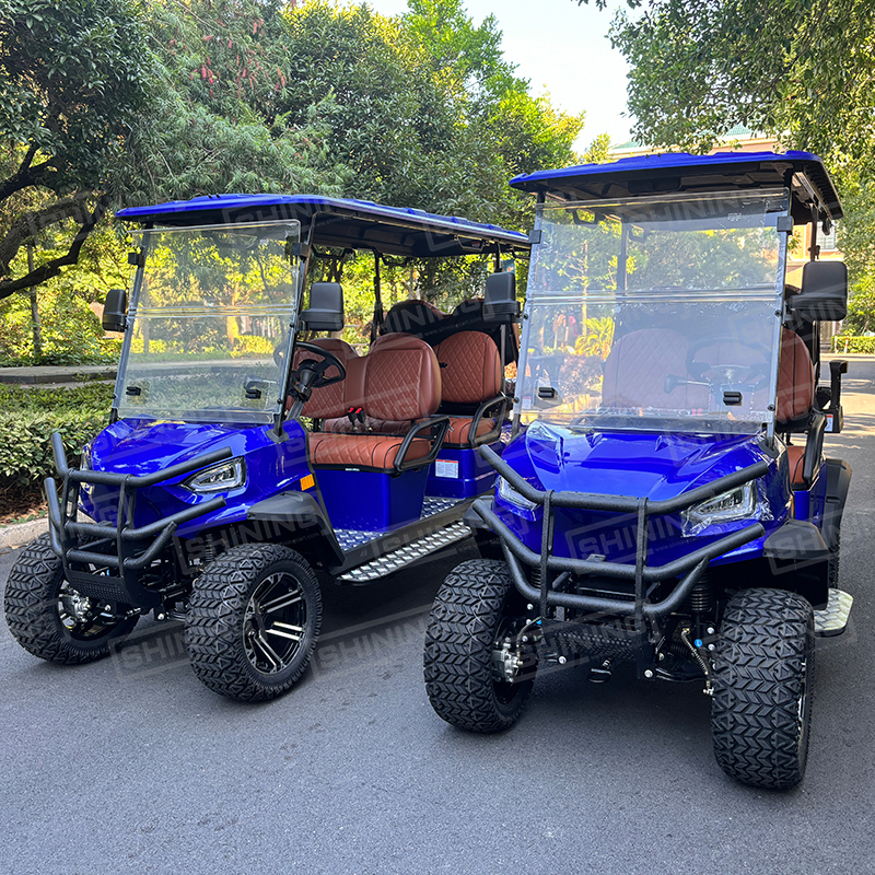 Shining Brand 6 People Gasoline Power Petrol Golf Cart Gas Powered Golf Cart