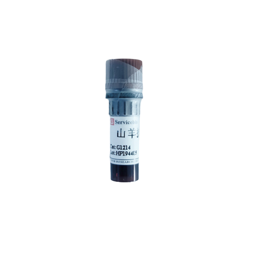 Goat Anti-Mouse Secondary Antibody for Primary Antibody from Mouse