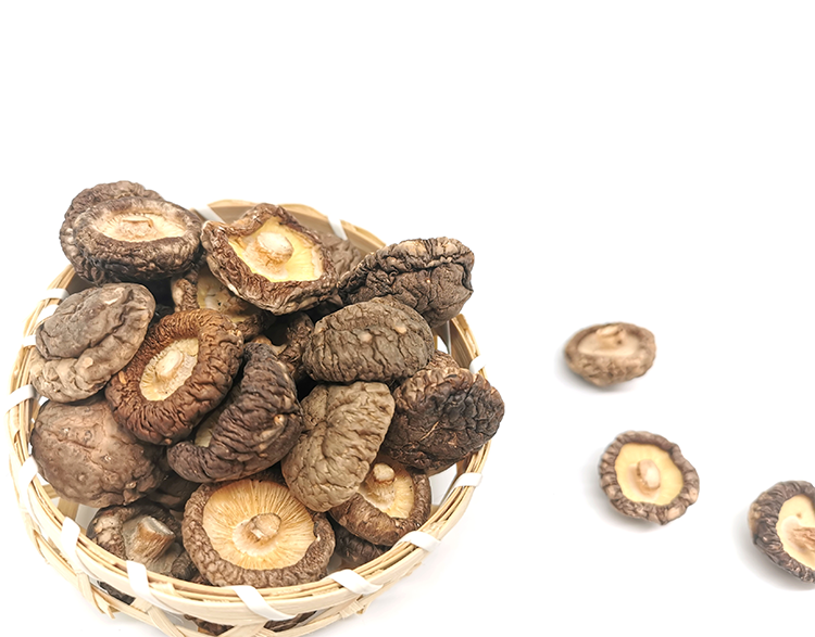 Wholesale healthy dried shitake mushroom3mm
