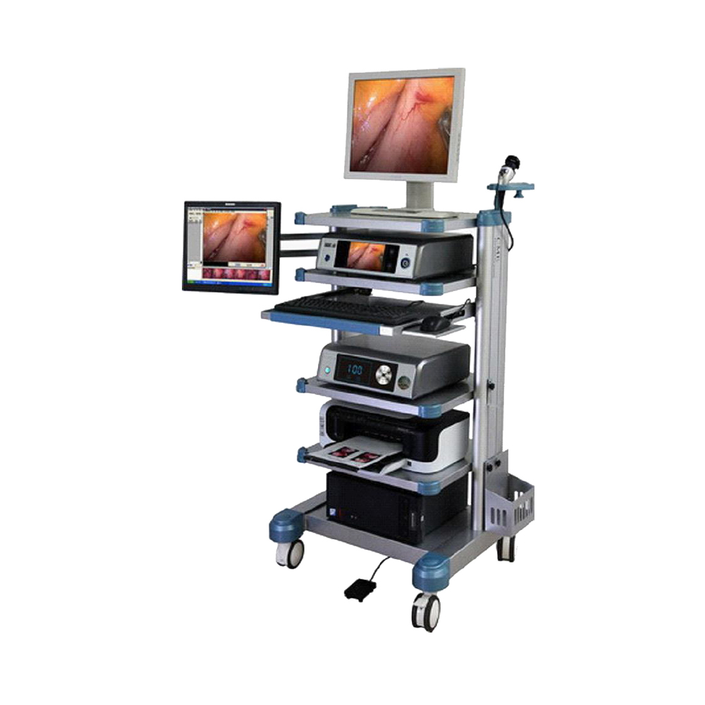 LTES02 medical high quality flexible laparoscopic endoscopy