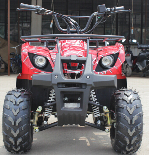 Newest 800W 48V Adult Atv Electric for Cross Off Road Fun Electric Quad Bike 4 Wheeler