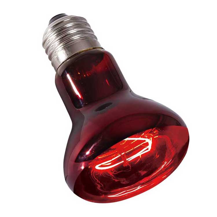 R125 wholesale animals Piglet Broiler Sleep Chicken BirdFarmEquiment/Pet lamp heating