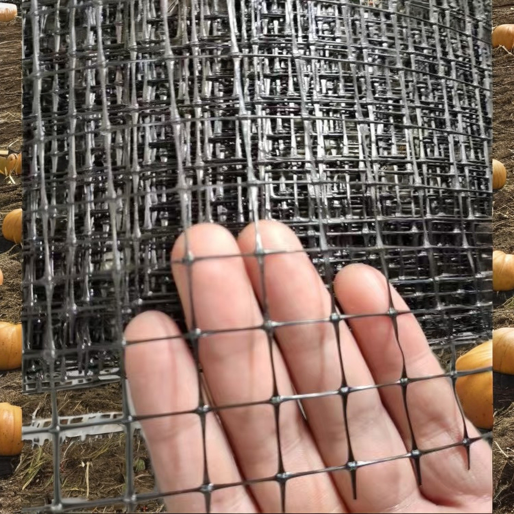 Quality Protection Black Plastic Extruded Mesh Anti-Mole Diamond Netting HDPE/PP Roll Packaging Moulding Cutting Included
