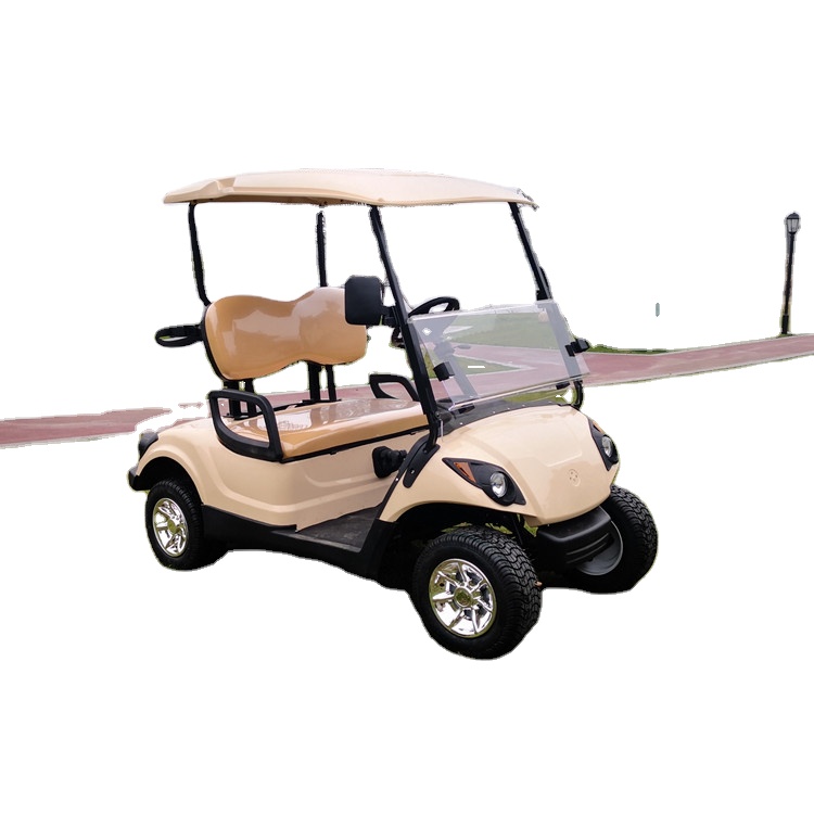 Китайский 2-местный Mini Golf cart