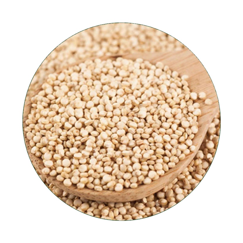 Organic Quinoa Bulk Quantity