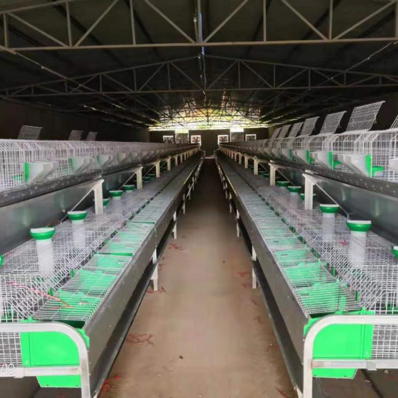 Easy installation commercial rabbit farming cages / rabbit breeding cages with quality guarantee(20 years' factory)