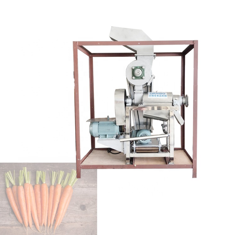 Hot Sale Screw Crushing Juicer, Apple Juicer, Juice Machine