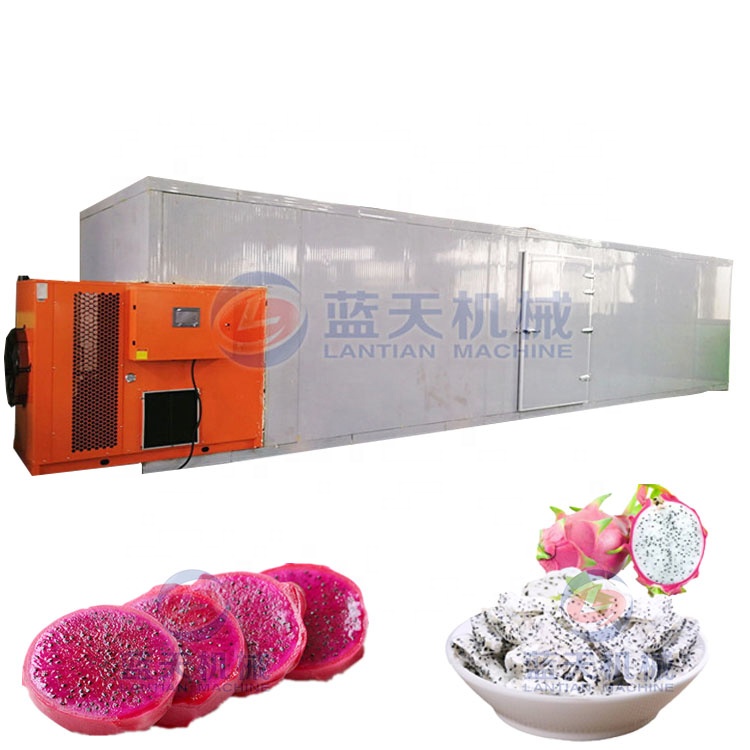 Dewatering drying machine spray dryer dried fruit dragon fruit dryer