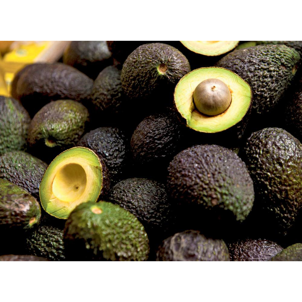Органические экзотические свежие фрукты Hass Avocado Palta Persea America