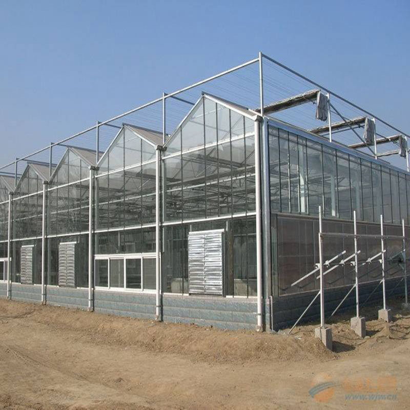 1000 Sqm Large Green House Multi-Span PC Sheet Greenhouse