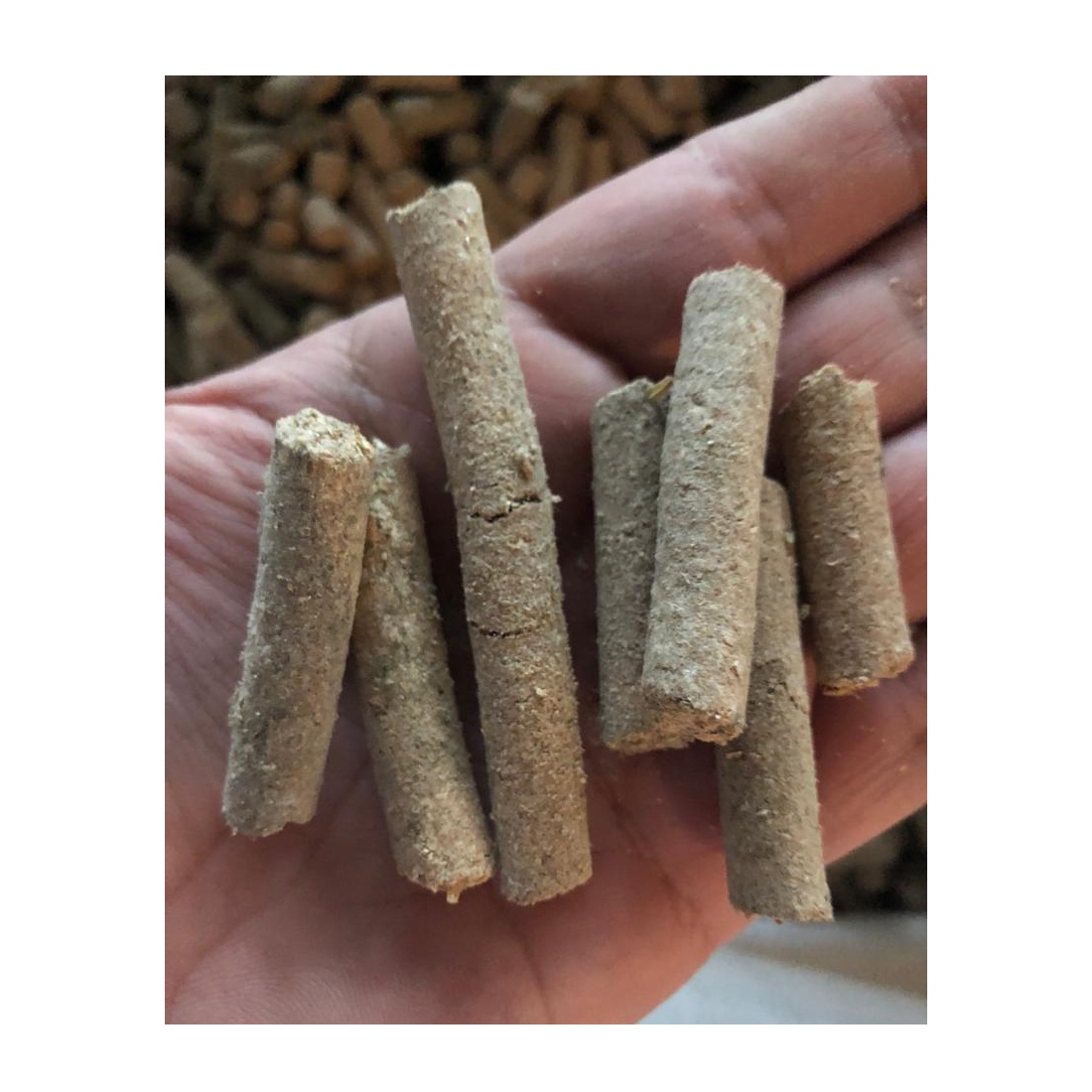 Bulk Wholesale Wheat granulated bran pellets animal feed for pigs for caws for horce high quality natural product