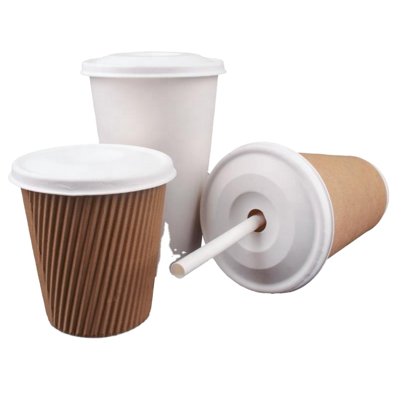 Dsechable bagasse coffee paper cup with biodegradable lids y cup dome lid