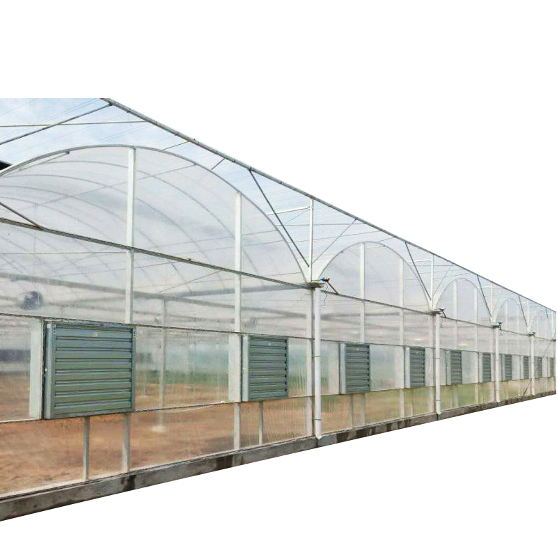 low cost polyhouse agriculture greenhouse
