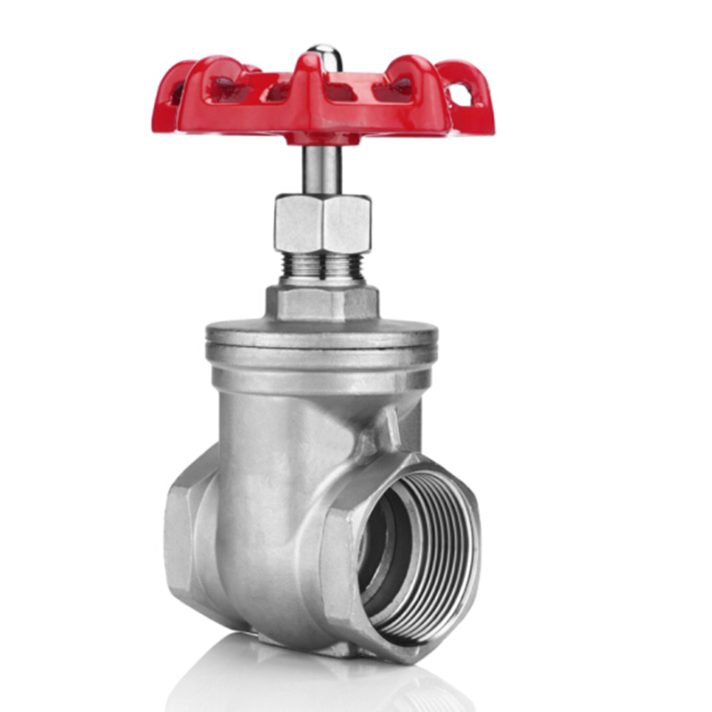 Wholesale Hot Selling 304 Stainless Steel Female Threaded Gate Valve