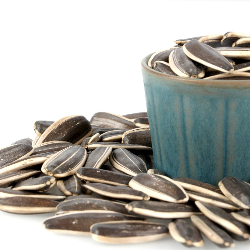2021 sunflower seeds truelove