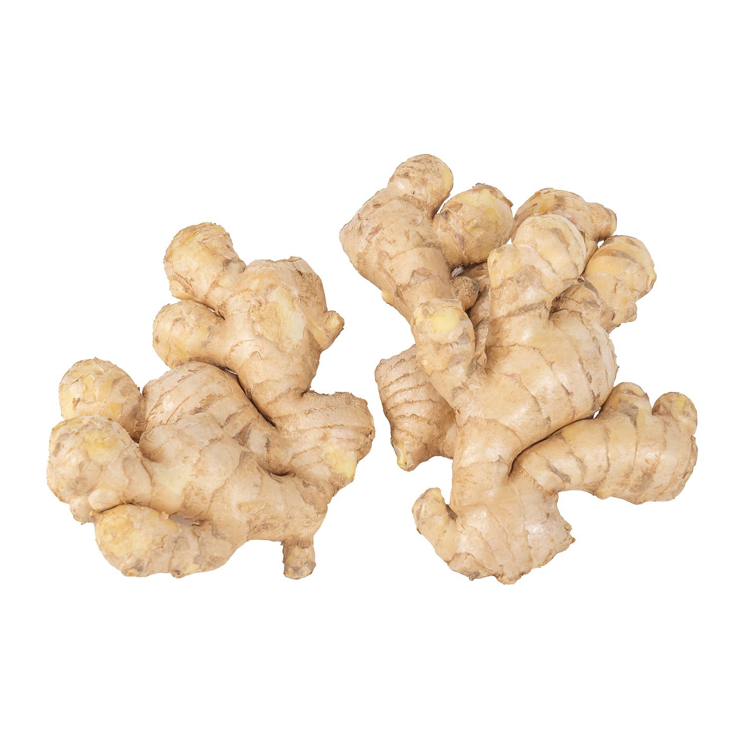 Fresh Bulk Organic Ginger sale in China