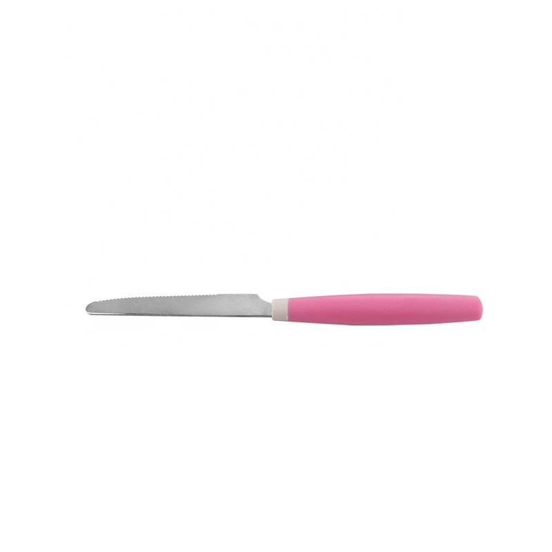 Pink Dinner Knife Stainless Steel Utensils Knife Flatware With Plastic Handle
