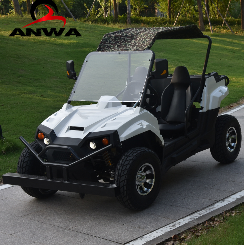 2019 Электрический utv 1500 Вт/2000 Вт/3000 Вт