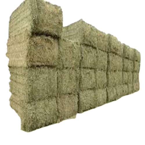 Top Quality Alfafa Hay for Animal Feeding Stuff Alfalfa / Timothy / Alfalfa