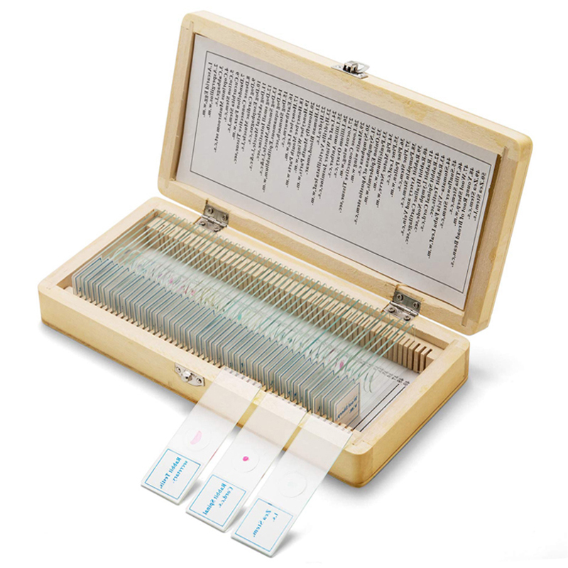 50pcs glass prepared microscope slides mixed on animal, plant and insect