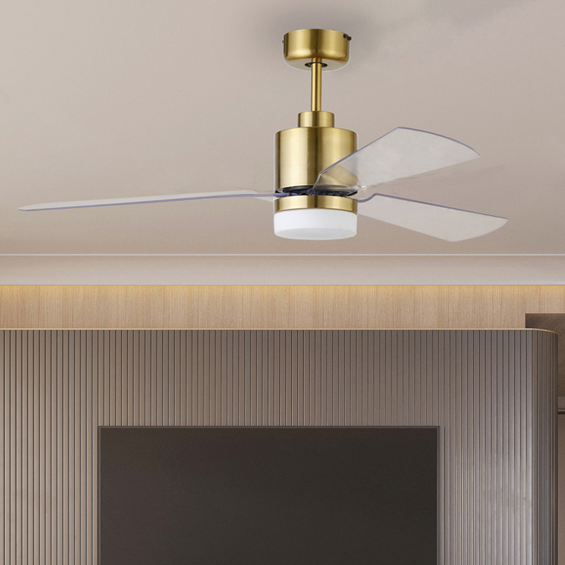 Indoor Energy Saving Decorative Lighting LED Ceiling Fan Luminous Light Body Lamp