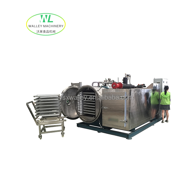 Factory Price Industrial Lyophilizer Large Scale of Vacuum Freeze Dryer for Food