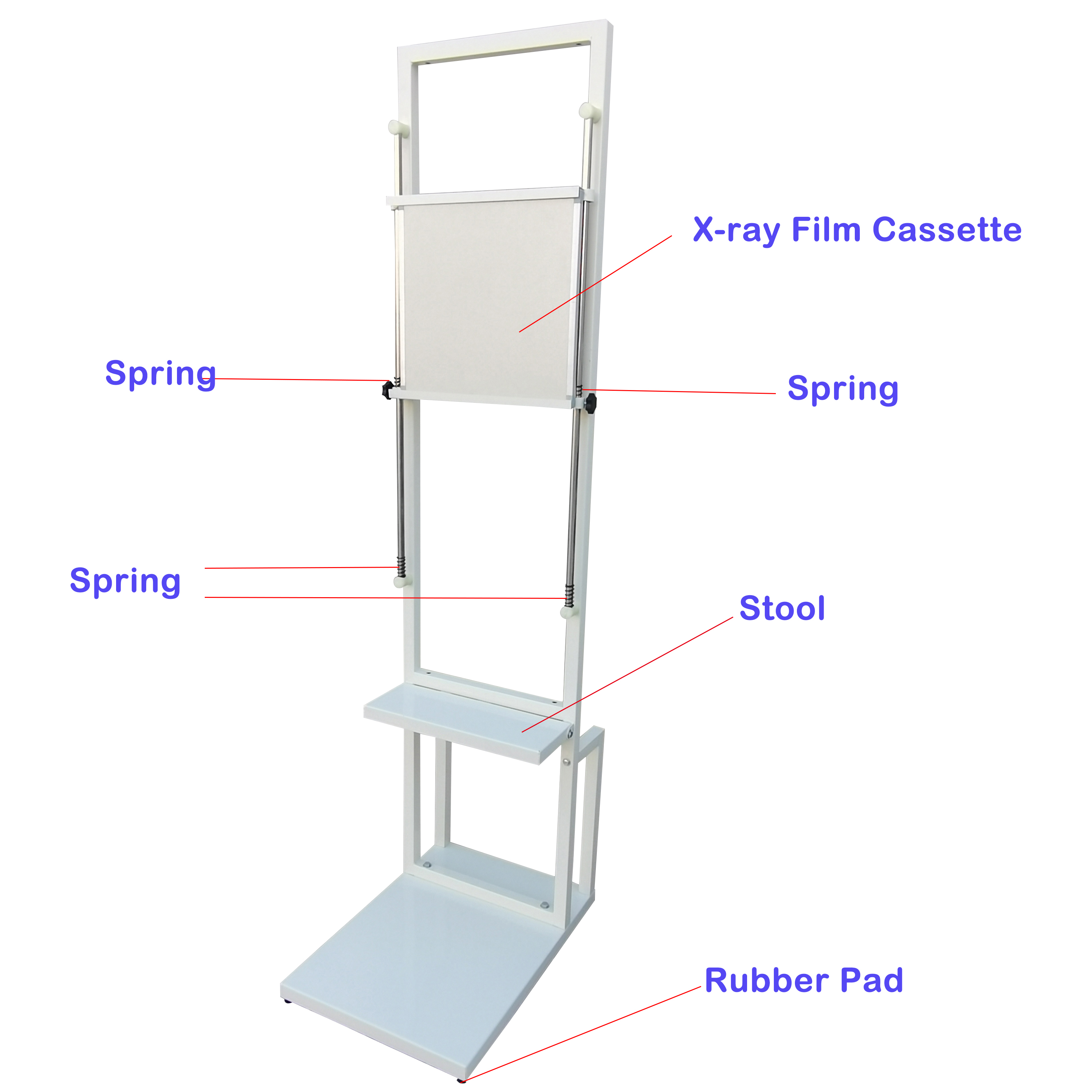 Hospital Radiology Equipment Accessories Medical X Ray Photography Holder Wall Style Front Mounted Film X-ray Chest Bucky Stand