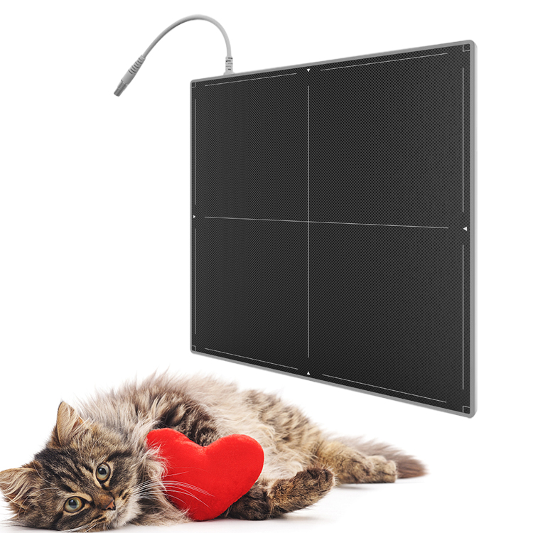 17"X17" Fix Mounted High Resolution Csi Careray Dr Digital X-Ray Flat Panel Detector For Veterinary
