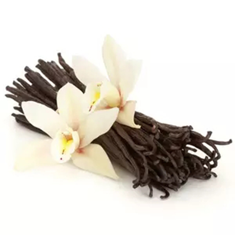Buy Wholesale High Vanilla Beans Seed Premium Quality Dry And Oily Vanilla Beans Pure Vanilla Seeds For Spice
