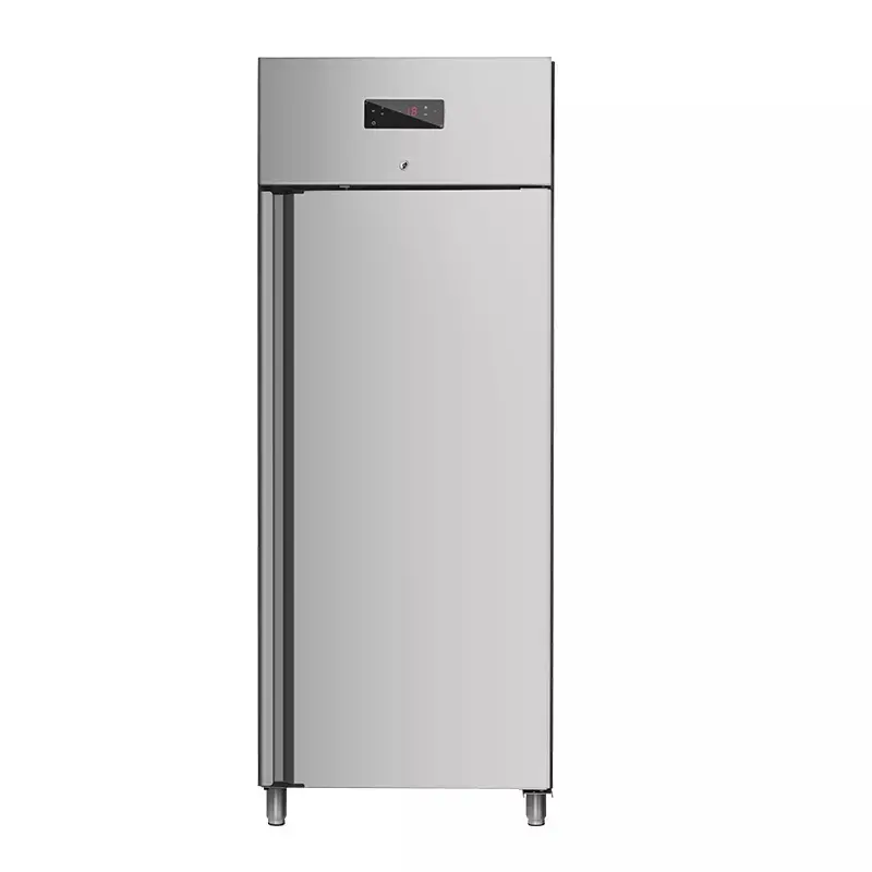 602L single door upright bottom freezer vertical fridge/freezer combo commercial refrigerator for kitchen