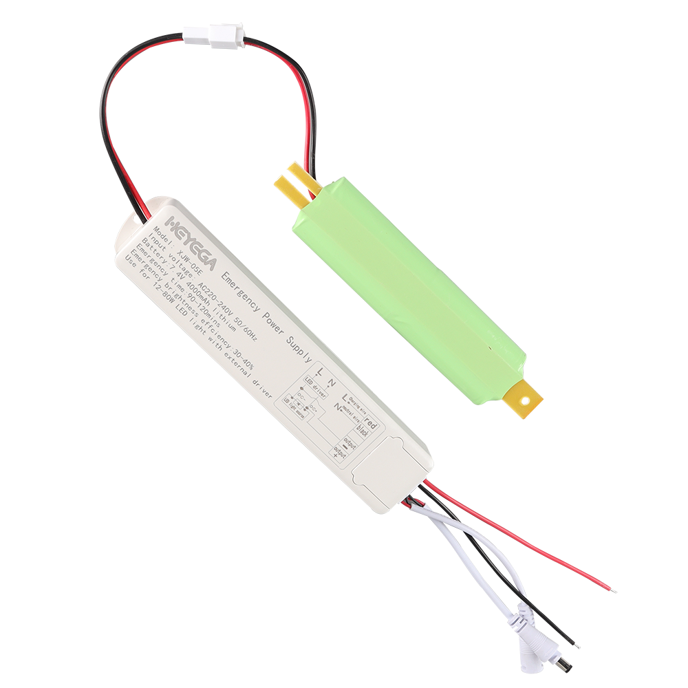 110V/220 12-80W Led Light Constant Current Emergency Power Pack Driver Supply