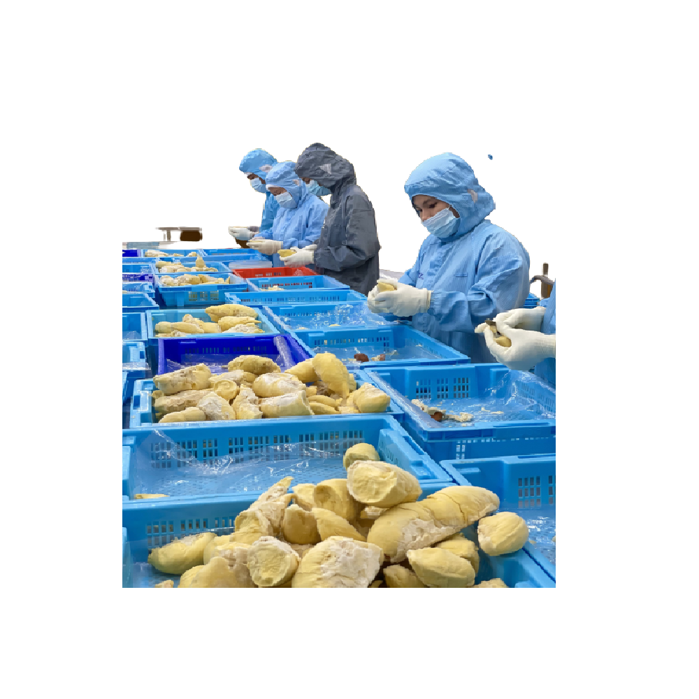 Premium Quality 100% Monthong from Thailand Fresh Durians