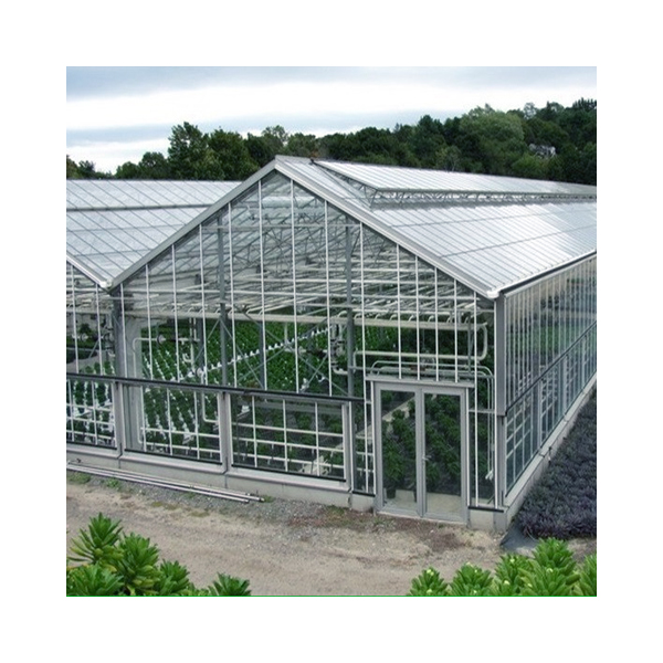 Green house Glass Case Skyplant Venlo Type Large Glass Agricultural Greenhouse Used for Seed Breeding/exhibition/eco Restaurant