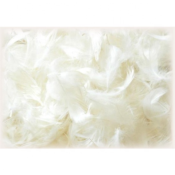Wholesale manufacture Washed Grey Goose pillow filling material 4-6cm Down feather
