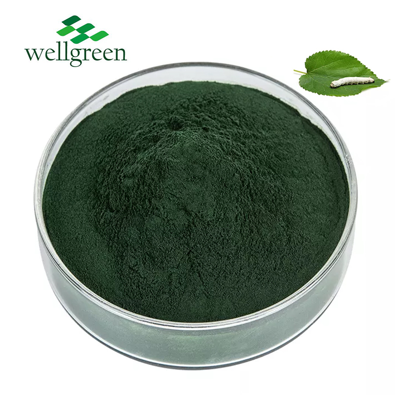 Wellgreen Natural Herbal Plant Mulberry Leaf Extract E568 Sodium Copper Chlorophyllin Powder