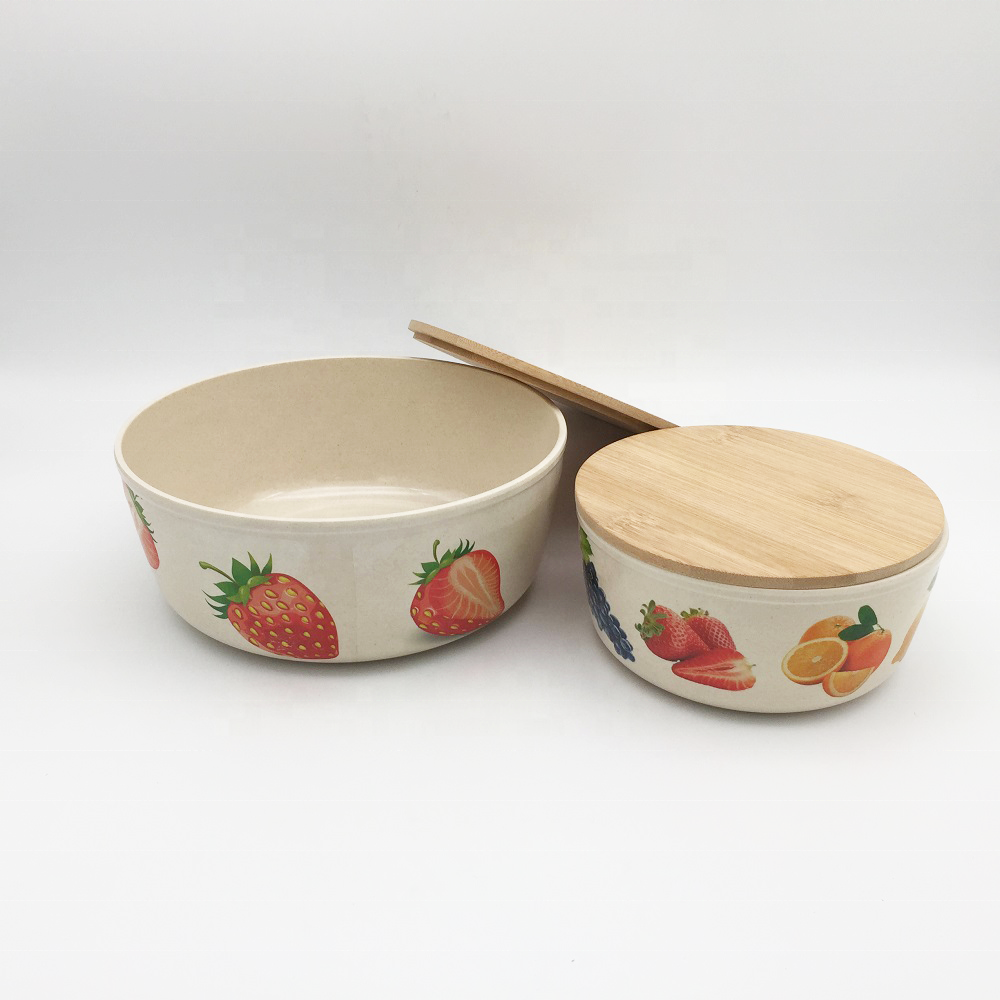 Set od 2 Unbreakable Melamine Storage Bowl Set with Lid