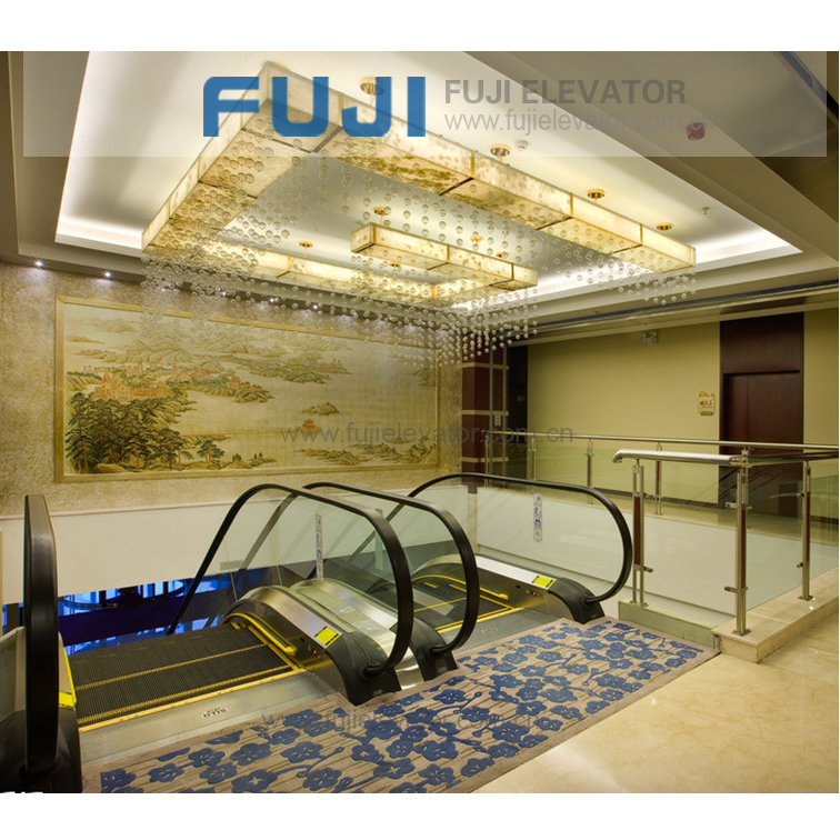 FUJI Indoor Commercial Economical Moving Walkway Escalator with Vvvf Auto Start Stop