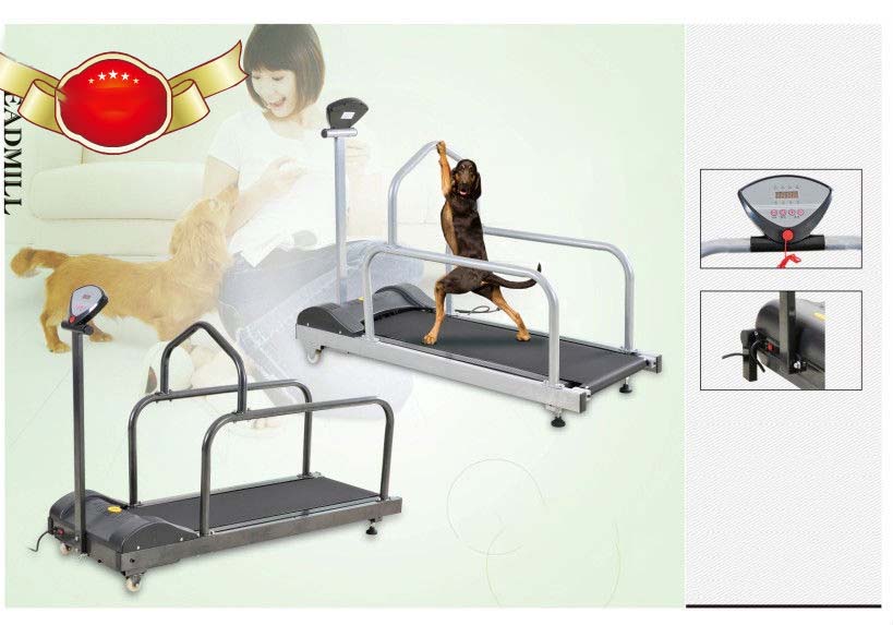 Bunnyhi PBJ036 хит продаж беговая дорожка для собак