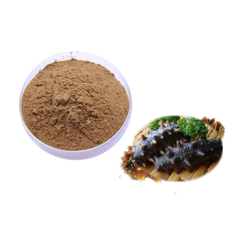Private Label Cosmetics Dried Sea Cucumber Extract Powder for Beauty Care