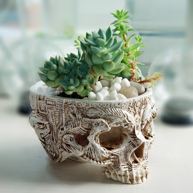 New Skull Bottles Plant Grass Tabletop Flowerpot Creative Indoor Skull-shaped Potted Craft Ornaments For Garden Home