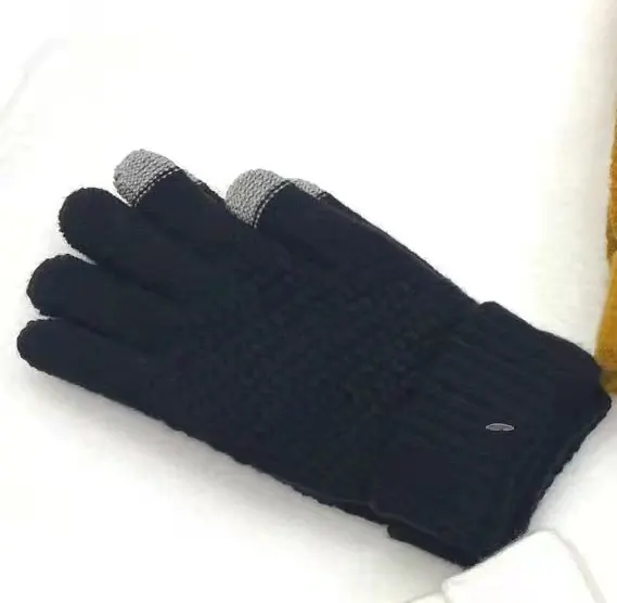 New Korea Japan style cashmere brushed inside knitted glove touch screen warm winter gloves